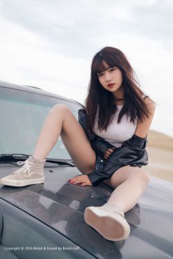《玫瑰汽车旅馆3:彷徨》